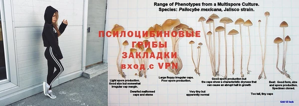 герыч Березники