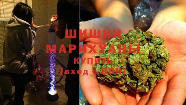 амф Коряжма