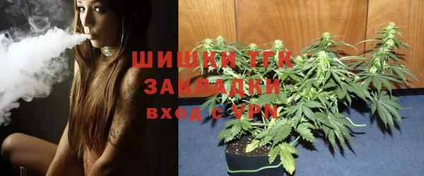 амф Коряжма
