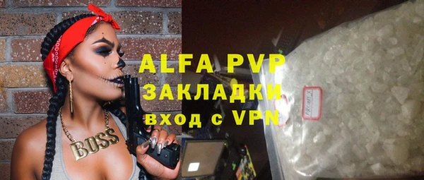 амф Коряжма